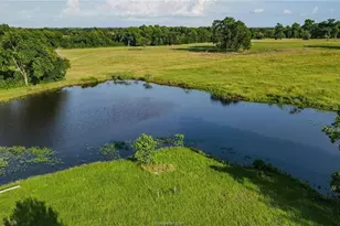 4791 State Hwy 21 W - 25 Acres, Caldwell, TX 77836 - Photo 22