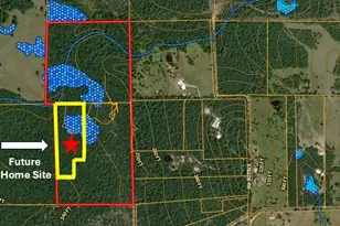 12 Ac Steede Rd, Montgomery, TX 77356 - Photo 1