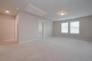 29310 Sweet Orange Ct, Katy, TX 77494 - Photo 28