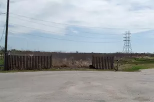 1080 S Paloma Dr, Rosharon, TX 77583 - Photo 1