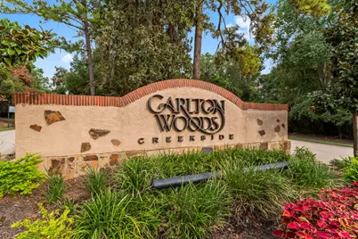 262 S Fazio Way, The Woodlands, TX 77389 - Photo 32