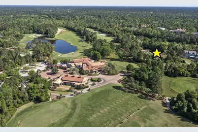 262 S Fazio Way, The Woodlands, TX 77389 - Photo 16
