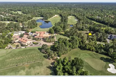 262 S Fazio Way, The Woodlands, TX 77389 - Photo 10