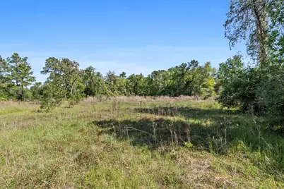 262 S Fazio Way, The Woodlands, TX 77389 - Photo 28