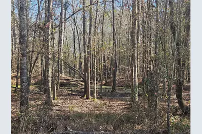 0 Red Road, Shepherd, TX 77371 - Photo 4