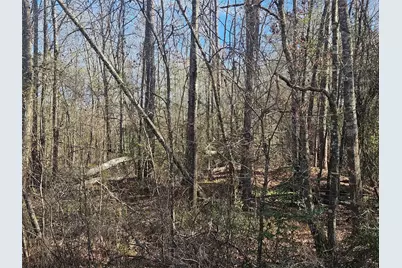 0 Red Road, Shepherd, TX 77371 - Photo 1