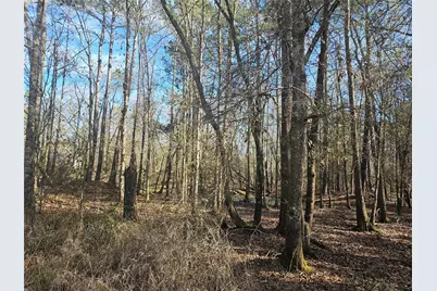 0 Red Road, Shepherd, TX 77371 - Photo 6