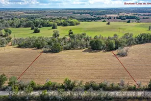 Lot 6 County Road 229, Bedias, TX 77831 - Photo 1
