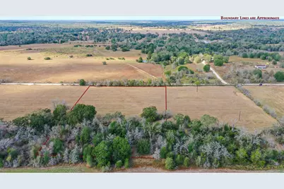 Lot 6 County Road 229, Bedias, TX 77831 - Photo 8