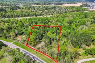 31910 Fm 1485 Rd, New Caney, TX 77357 - Photo 1