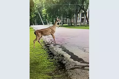 3618 Aspenwood Drive, Richmond, TX 77406 - Photo 50