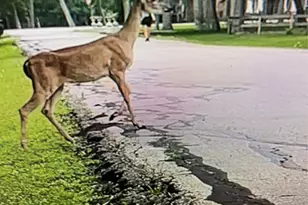 3618 Aspenwood Dr, Richmond, TX 77406 - Photo 50