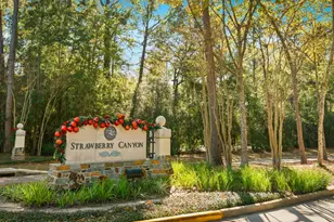 30 Midday Sun Pl, The Woodlands, TX 77382 - Photo 40