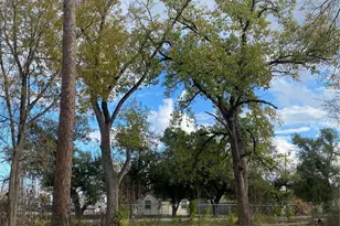 13708 Almeda School Rd, Houston, TX 77047 - Photo 1