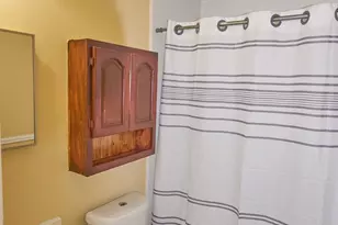 219 Fort Sumter Ct, Richmond, TX 77469 - Photo 20