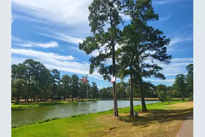 27055 Sandy Creek, Magnolia, TX 77355 - Photo 22