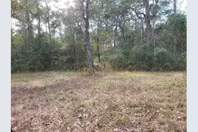 27055 Sandy Creek, Magnolia, TX 77355 - Photo 10