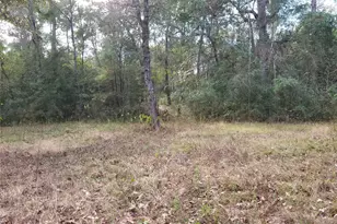 27055 Sandy Creek, Magnolia, TX 77355 - Photo 10