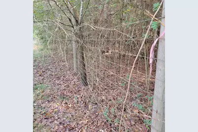 27055 Sandy Creek, Magnolia, TX 77355 - Photo 16