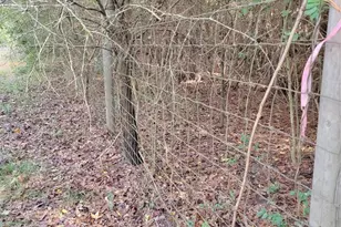 27055 Sandy Creek, Magnolia, TX 77355 - Photo 16