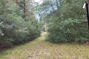 27055 Sandy Creek, Magnolia, TX 77355 - Photo 6