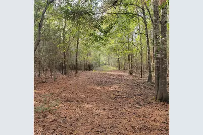 27055 Sandy Creek, Magnolia, TX 77355 - Photo 1