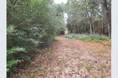 27055 Sandy Creek, Magnolia, TX 77355 - Photo 20
