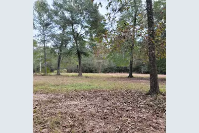 27055 Sandy Creek, Magnolia, TX 77355 - Photo 8