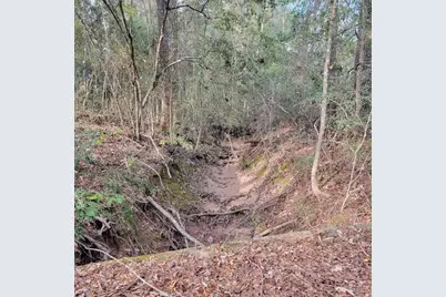 27055 Sandy Creek, Magnolia, TX 77355 - Photo 18