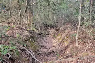 27055 Sandy Creek, Magnolia, TX 77355 - Photo 18