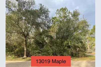 13019 Maple Street, Crosby, TX 77532 - Photo 2