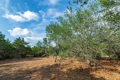 468 (Lot 16) Vineyard View Trail, Carmine, TX 78932 - Photo 18