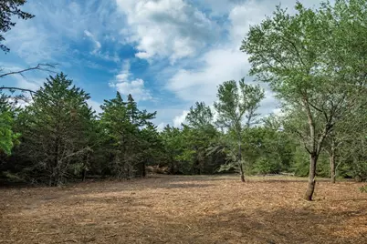 468 (Lot 16) Vineyard View Trail, Carmine, TX 78932 - Photo 8