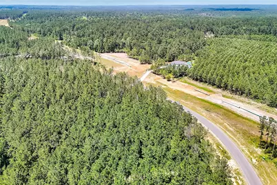 15469 Forest Grove Drive, Willis, TX 77378 - Photo 12