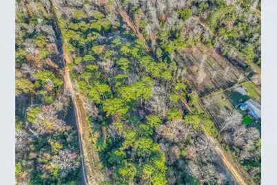 156 Bald Eagle Drive, Livingston, TX 77351 - Photo 24