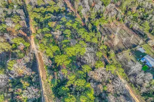 156 Bald Eagle Dr, Livingston, TX 77351 - Photo 24