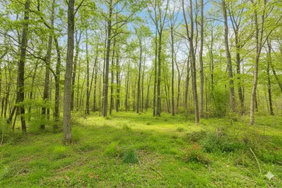 Lot 160 Jaycrest, Livingston, TX 77351 - Photo 4