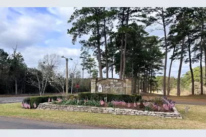 141 Wentworth Lane, Coldspring, TX 77331 - Photo 6