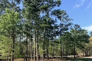 141 Wentworth Ln, Coldspring, TX 77331 - Photo 1