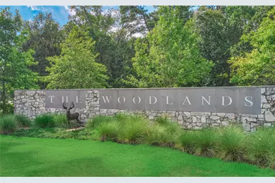 47 W Sage Creek Place, The Woodlands, TX 77382 - Photo 44