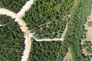 11766 Grand N Rd, Willis, TX 77378 - Photo 2