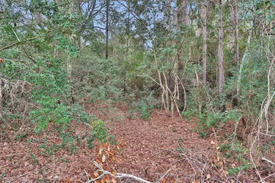 0 Bradbury, Magnolia, TX 77355 - Photo 4