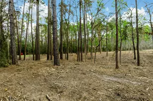 Lot 11 Mayhaw Ln, Plantersville, TX 77363 - Photo 1