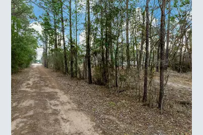 Lot 11 Mayhaw Lane, Plantersville, TX 77363 - Photo 2