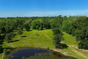 32011 Pattys Landing, Magnolia, TX 77354 - Photo 38