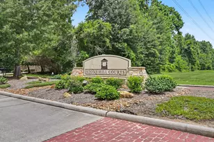 73 Scarlet Woods Ct, The Woodlands, TX 77380 - Photo 1