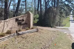 0 Northwoods Dr, Point Blank, TX 77364 - Photo 1