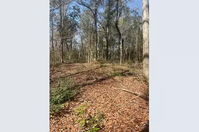 Tbd Fm 943, Livingston, TX 77351 - Photo 4