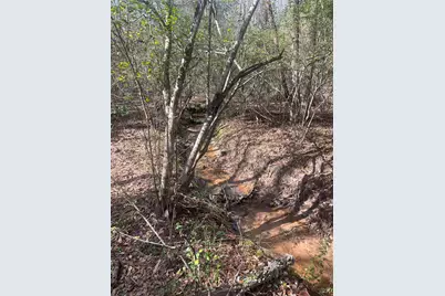 Tbd Fm 943, Livingston, TX 77351 - Photo 6