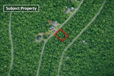 Lot 11 Tonkawa Drive, Hilltop Lakes, TX 77871 - Photo 1